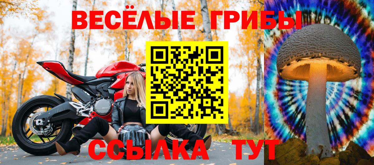Псилоцибиновые грибы мухоморы Ревда